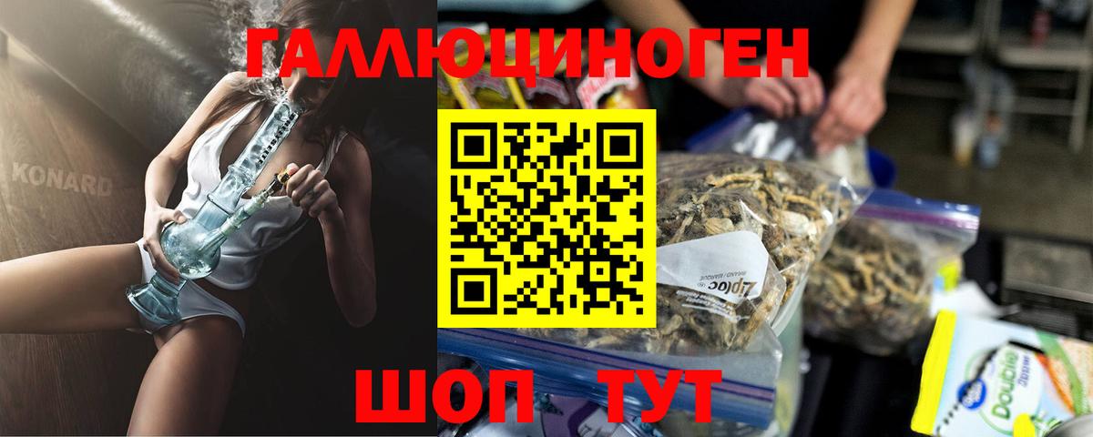 Галлюциногенные грибы мухоморы Красноярск